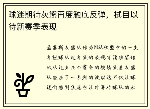 球迷期待灰熊再度触底反弹，拭目以待新赛季表现